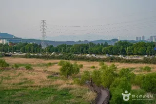 대명유수지