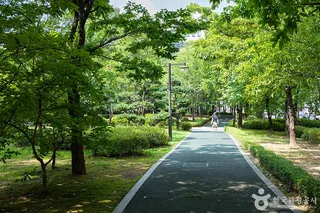 화정중앙공원