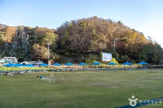 양지파인펫파크