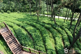 익산산림조합산림문화체험관