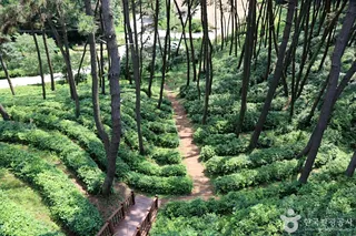 익산산림조합산림문화체험관