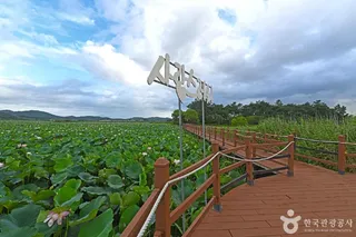 나주 우습제