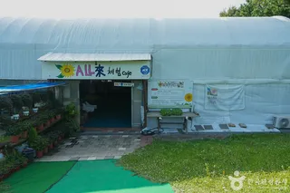 해바라기올래정원