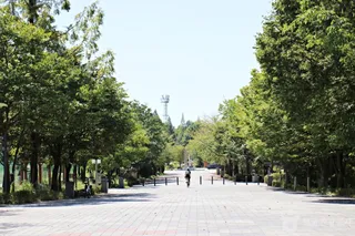 중앙체육공원