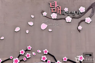 탐매마을
