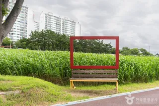 태화강억새군락지