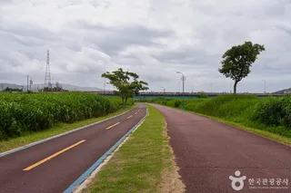 태화강억새군락지