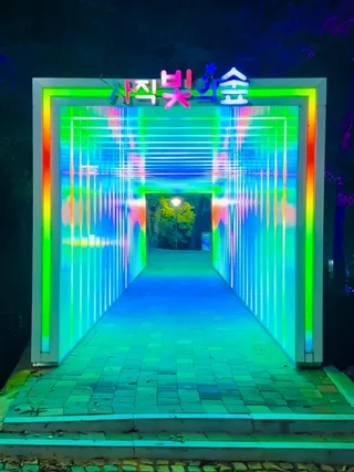 사직 빛의 숲