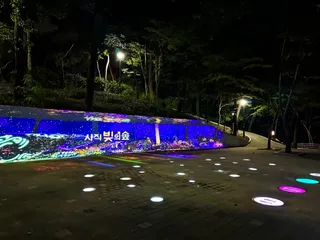 사직 빛의 숲