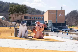 반려마루