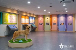 반려마루