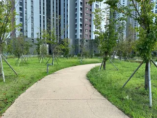 대유평공원