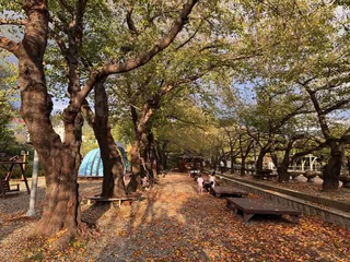 경화역공원
