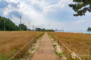 순긋해변