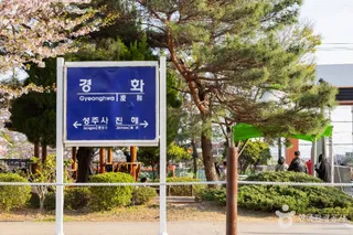경화역 벚꽃길