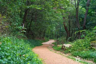 삼성산성지
