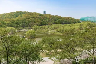 북서울꿈의숲
