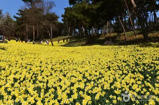 서산 유기방가옥