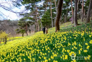 서산 유기방가옥