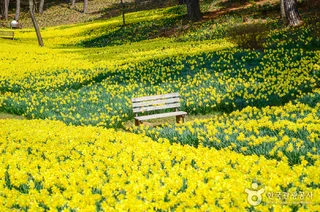 서산 유기방가옥