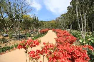 1004섬 분재공원