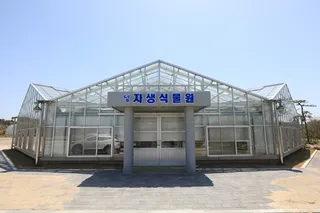 1004섬 분재공원