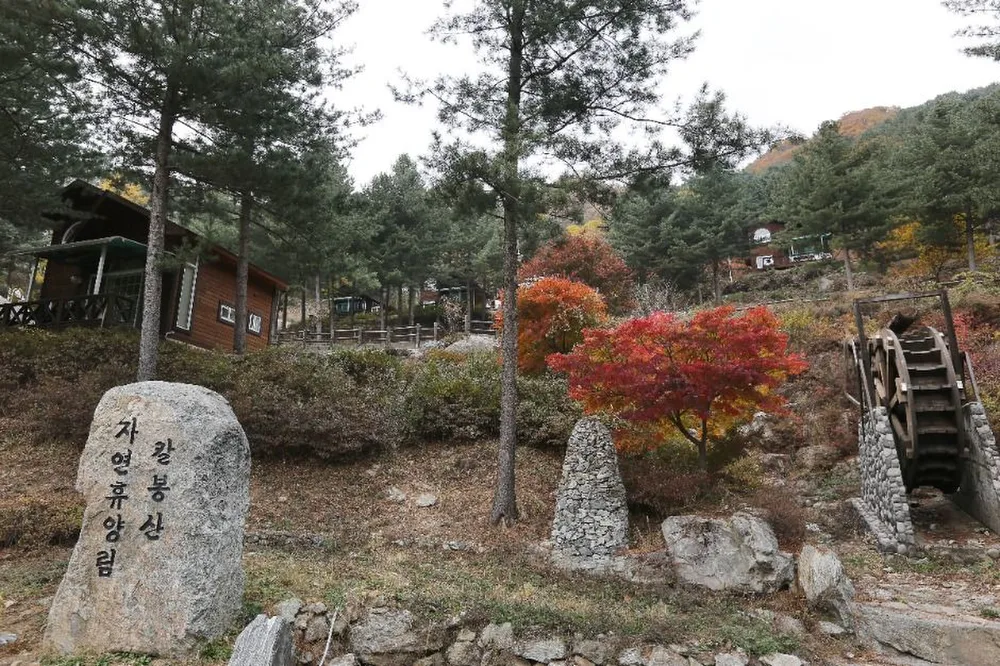 칼봉산자연휴양림