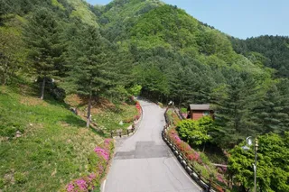 칼봉산자연휴양림