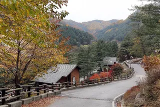 칼봉산자연휴양림
