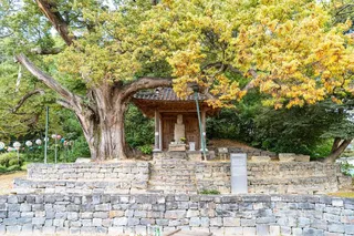 증평 미암리 석조관음보살입상