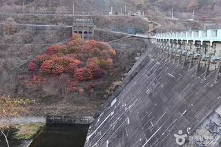 섬진강댐