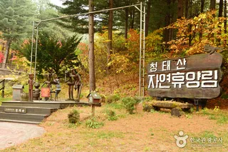 국립 청태산자연휴양림