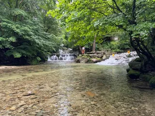 금원산자연휴양림