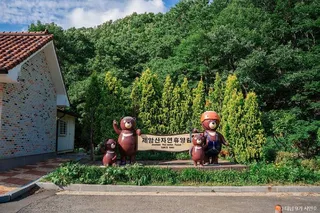 제암산자연휴양림
