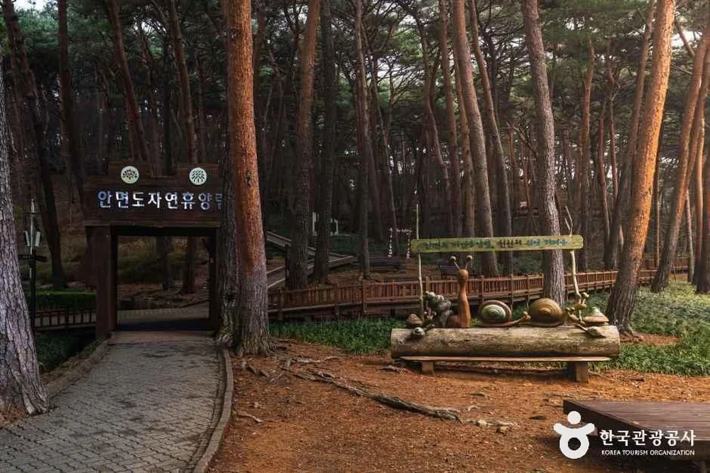 안면도자연휴양림