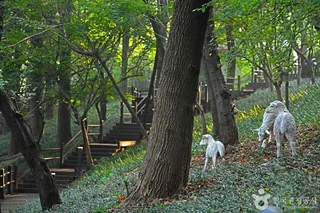 자유공원(인천)