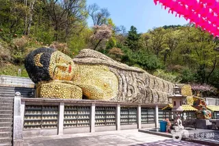 청계사(의왕)