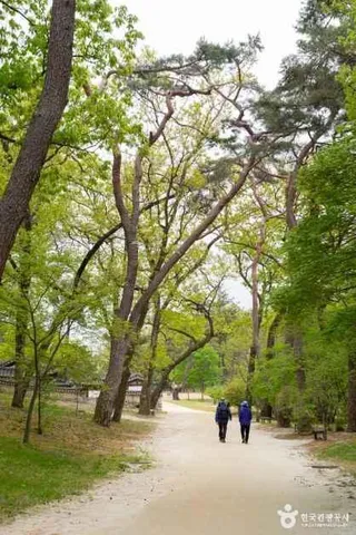 여주 영릉과 영릉