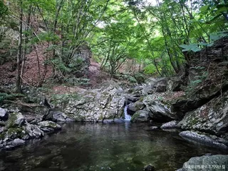 치악산국립공원