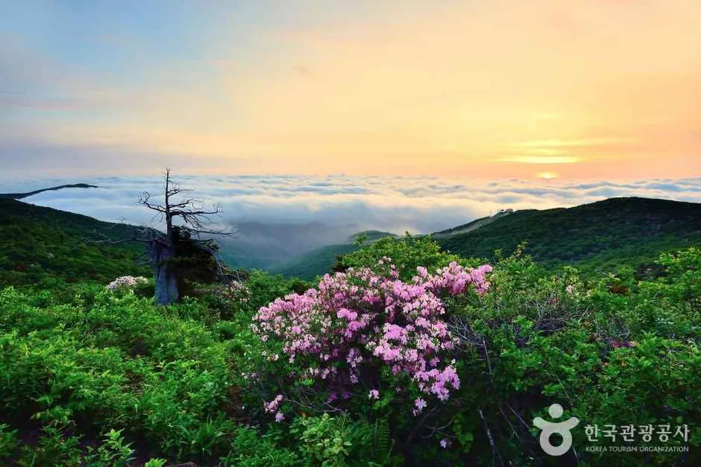 함백산