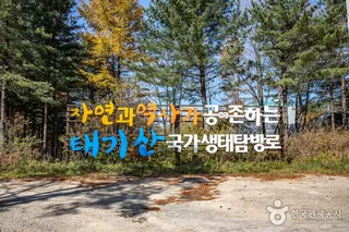 태기산