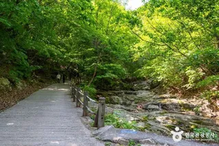 청평사계곡