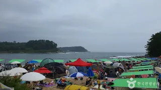 마차진해변