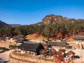 법흥사(영월)