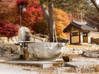 법흥사(영월)