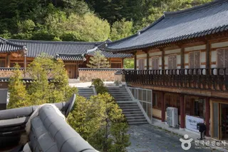 월정사·월정사 전나무숲