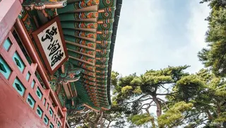 청간정