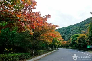 수락계곡