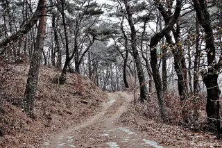백마산