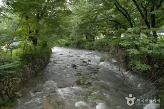 갑사계곡